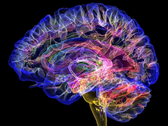 骚逼XX大脑植入物有助于严重头部损伤恢复